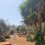 Photo n°1 de l'avis de Giuseppe.v fait le 03/09/2022 à 09:45 sur le  Rest - Music bar, restaurant & tapas à Favignana