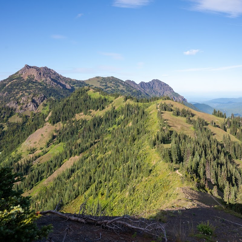 Klahhane Ridge Trail