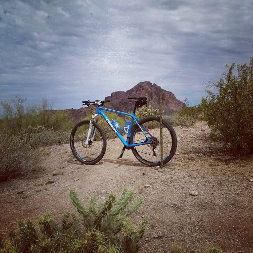 Bicycle Repair Shop «Two Wheel Jones Bicycles - Mesa», reviews and photos, 2837 N Power Rd #110, Mesa, AZ 85215, USA