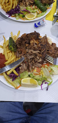Kebab du Restaurant turc Galatasaray Restaurant à Paris - n°10