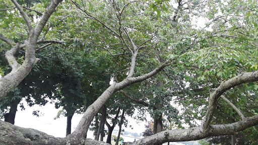 Park «Parker Memorial Park», reviews and photos, Harbor St, Branford, CT 06405, USA