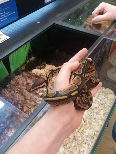 Pet Supply Store «Petco Animal Supplies», reviews and photos, 8551 S Howell Ave, Oak Creek, WI 53154, USA