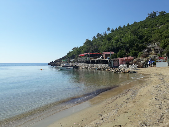 Toslaklar Koyu