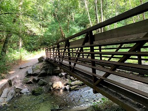 Swan Creek Park - photo 2