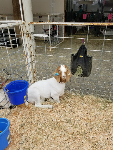 Convention Center «Washington County Fair Complex», reviews and photos, 873 NE 34th Ave, Hillsboro, OR 97124, USA