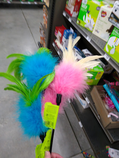 Pet Supply Store «Petco Animal Supplies», reviews and photos, 9350 US 49 a, Gulfport, MS 39503, USA