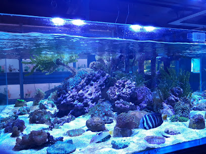 New Brussels Aquariums