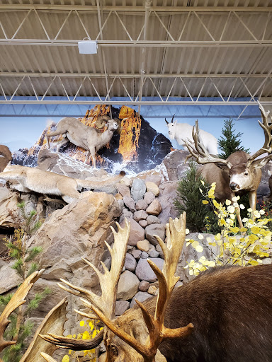 Shopping Mall «Huntington Mall Shopping Center», reviews and photos, 500 Mall Rd, Barboursville, WV 25504, USA