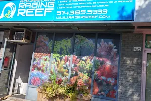 Aquarium Raging Reef - Montreal image
