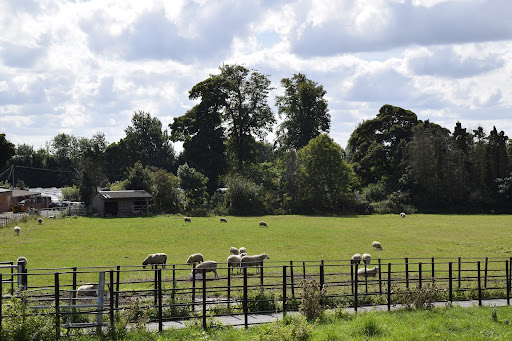 Graves Park Animal Farm