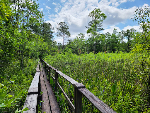 Flagler Trail Trailhead