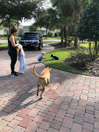 Insurance Agency «Michael Nickas - State Farm Insurance Agent», reviews and photos