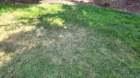Tree City Landscaping LLC - Photo 9 - Car repair in Nampa, ID, Nampa