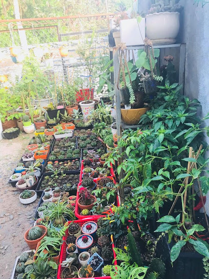 An Garden