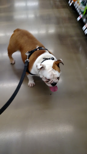 Pet Supply Store «Pet Supplies Plus», reviews and photos, 132 Randall Rd, Lake in the Hills, IL 60156, USA