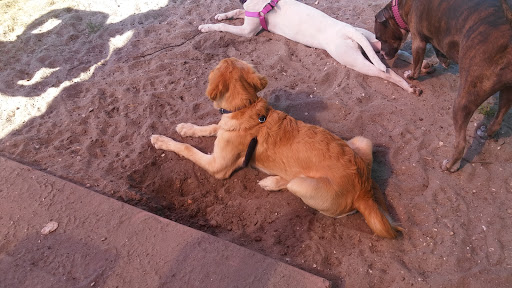 Park «Al Helms Dog Park», reviews and photos, 1022 Balboa Ave, Panama City, FL 32401, USA