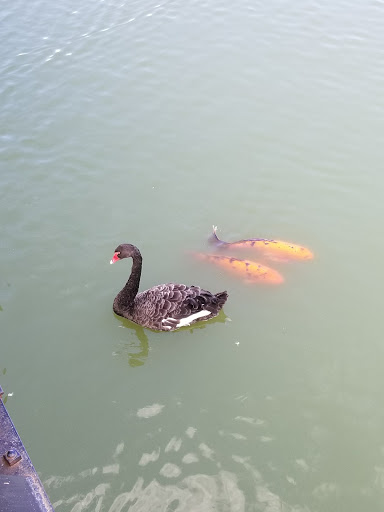 Restaurant «Hidden Valley Animal Adventure», reviews and photos, 2887 Royce Rd, Varysburg, NY 14167, USA