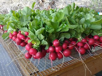 The Farmers Market at Libby