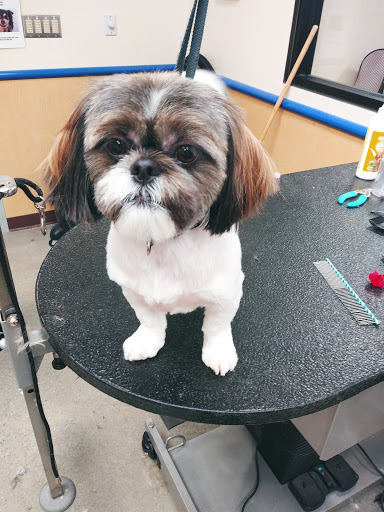 Pet Supply Store «Petsense Columbia», reviews and photos, 7402 Garners Ferry Rd, Columbia, SC 29209, USA