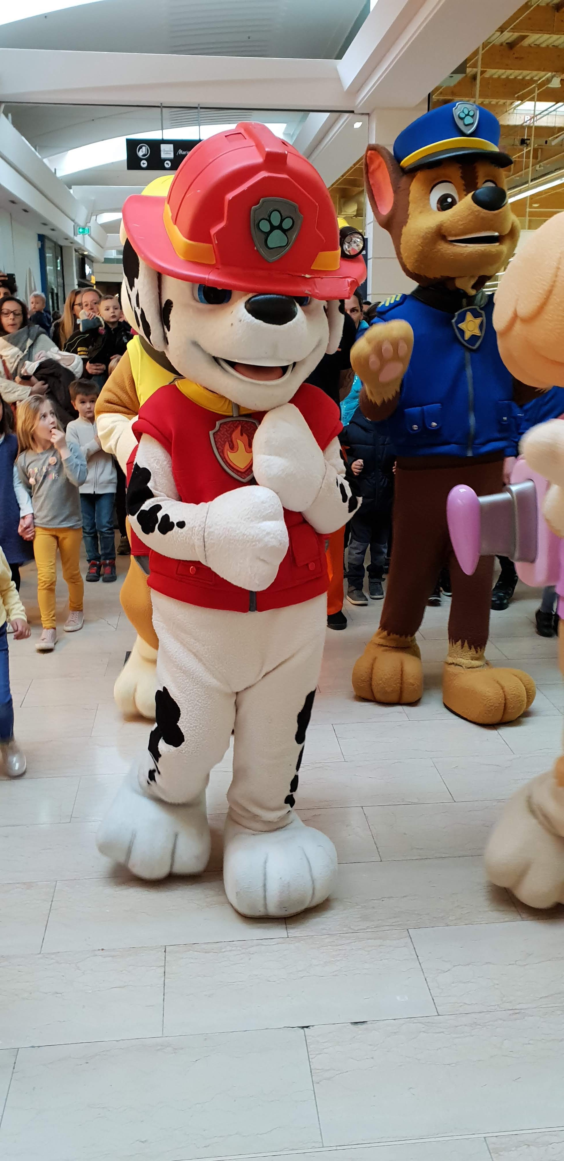 Photo n° 4 de l'avis de Gyslaine.u fait le 01/12/2017 à 08:12