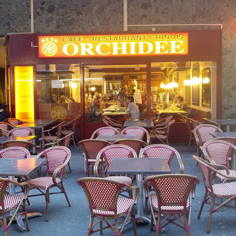 Orchidée