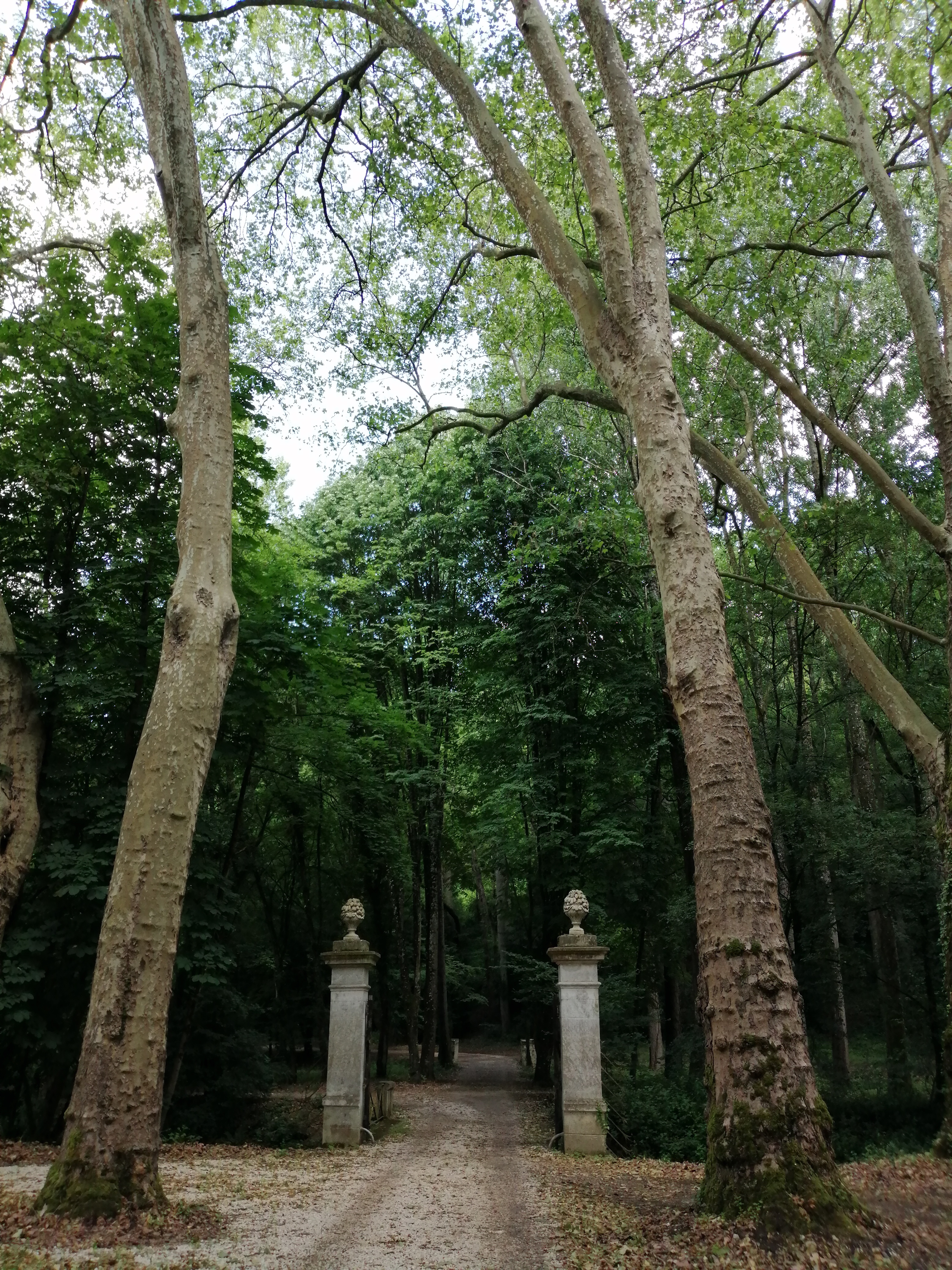 Photo n° 20 de l'avis de Eric.e fait le 21/06/2019 à 12:25