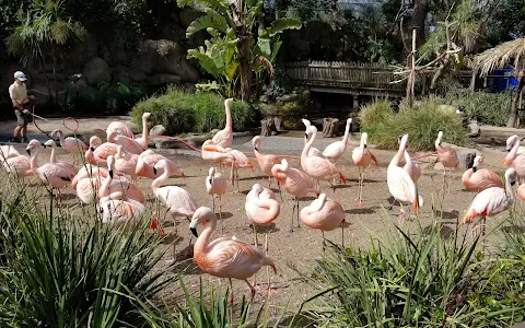 Santa Barbara Zoo image