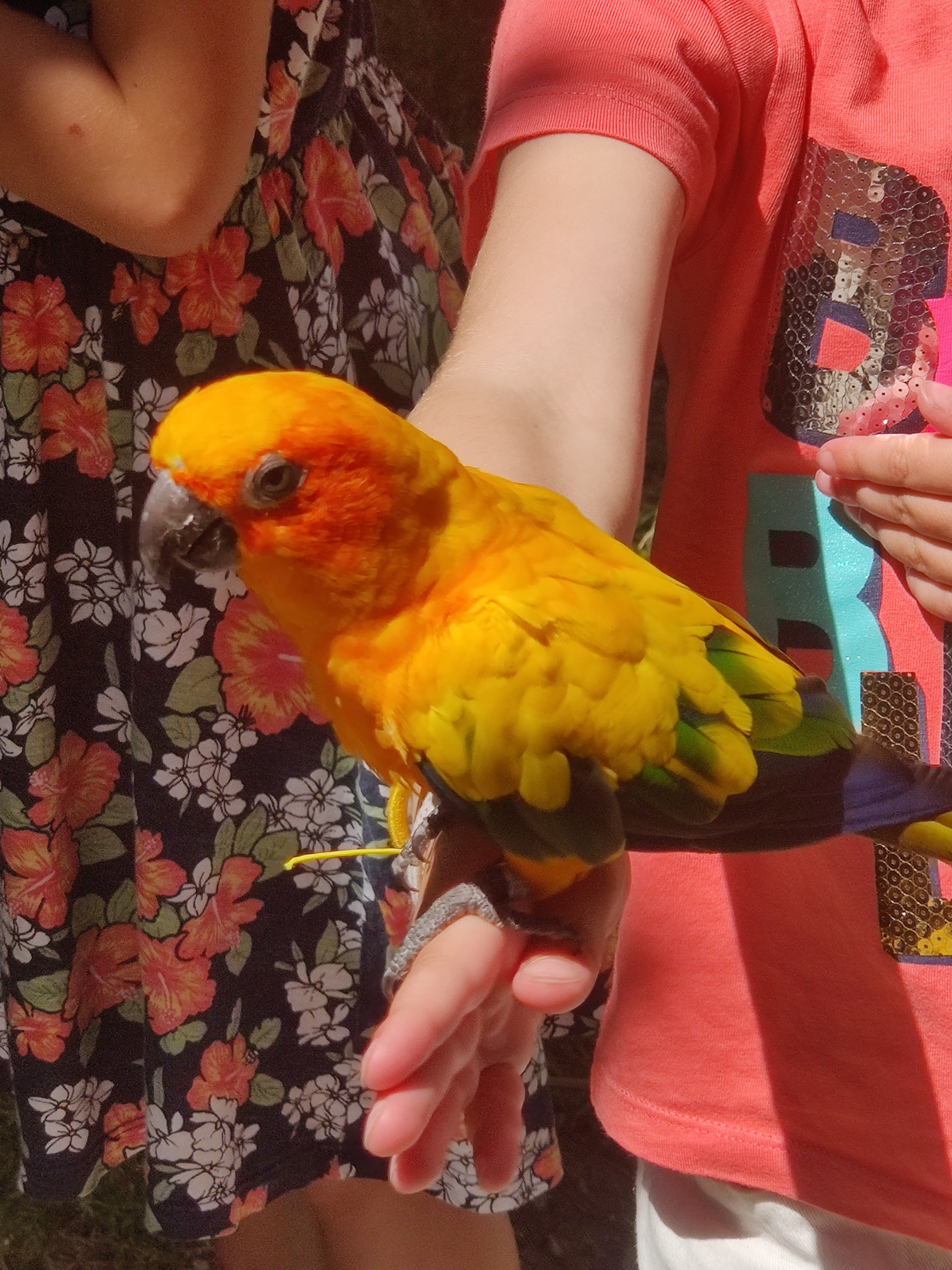 Photo n° 5 de l'avis de Emilie.a fait le 06/08/2023 à 13:12