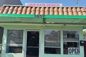 Cris Hair Designs image