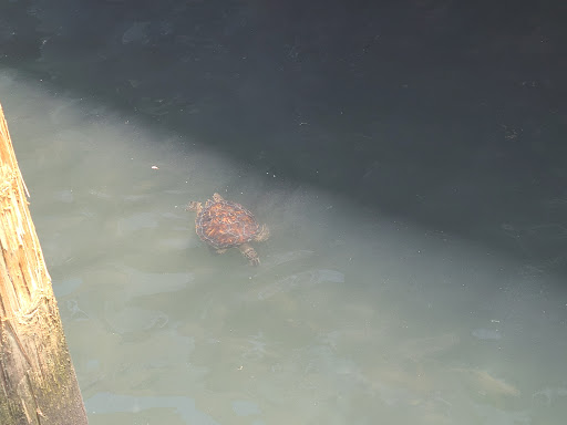 Fishing Charter «Obsession Fishing Charters», reviews and photos, 505 Glen Cheek Dr, Cape Canaveral, FL 32920, USA