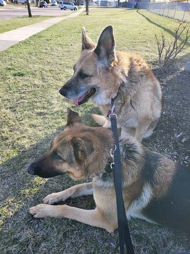 Park «Jim Hansen Park», reviews and photos, 338 Valley Forge Ave, South Elgin, IL 60177, USA