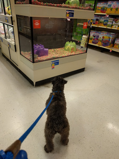 Pet Supply Store «PetSmart», reviews and photos, 5 Mystic View Rd, Everett, MA 02149, USA