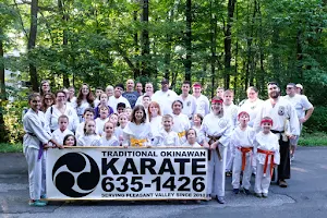 Traditional Okinawan Karate of Pleasant Valley image
