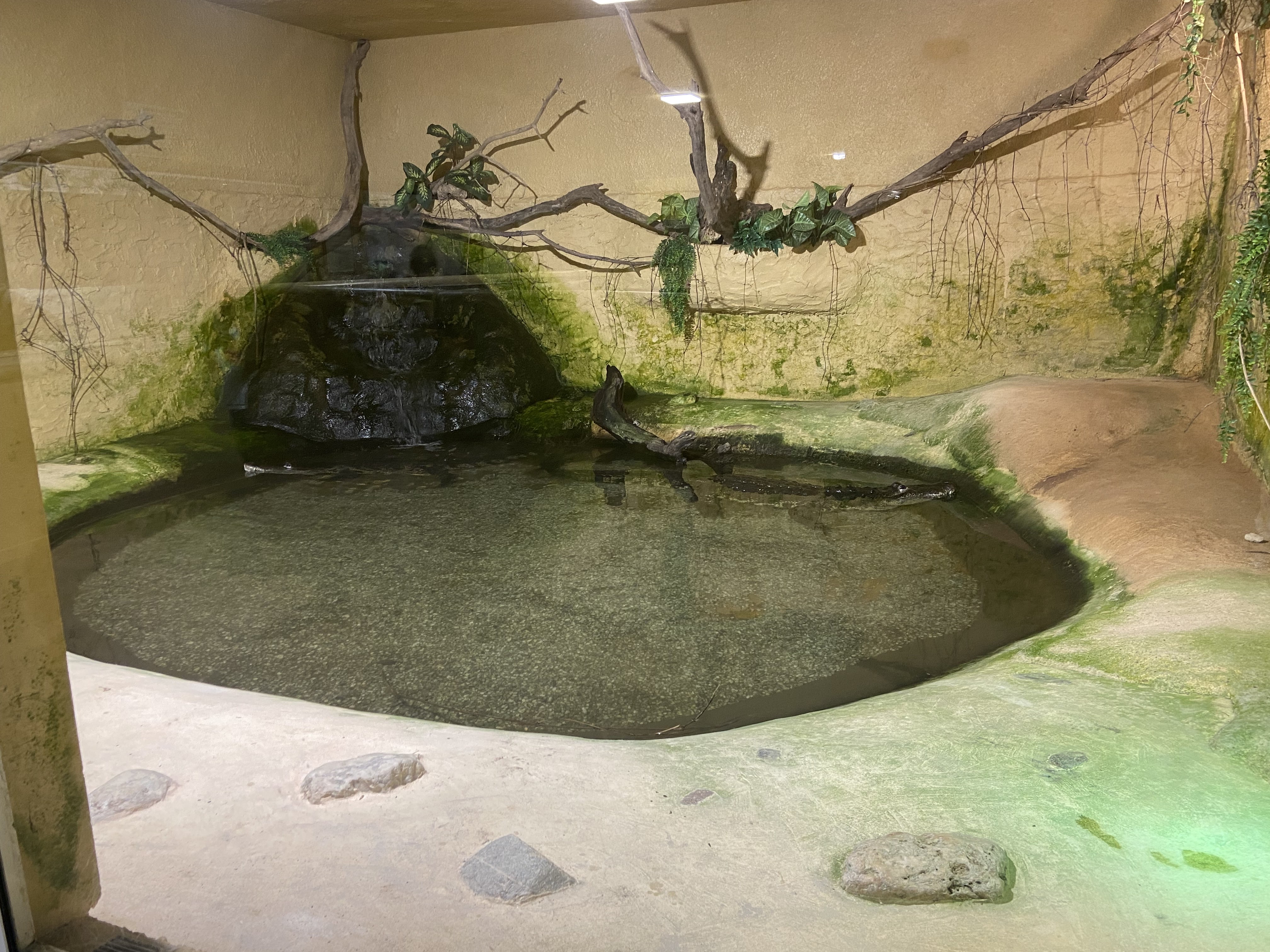 Photo n° 2 de l'avis de Wouter.r fait le 05/08/2023 à 12:24