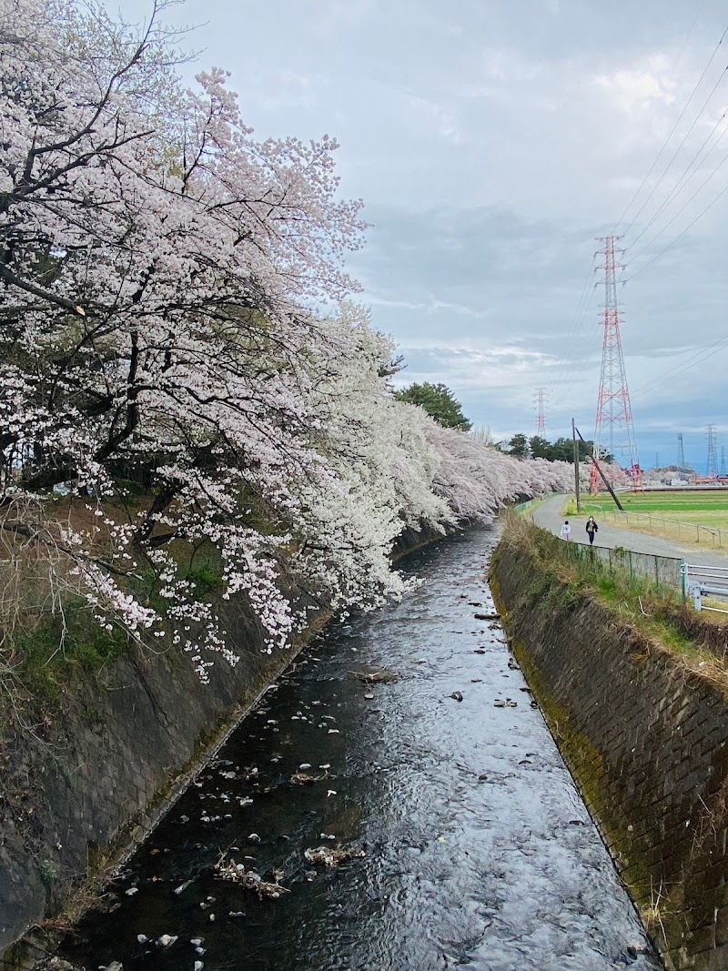 赤堀 いこいの森公園