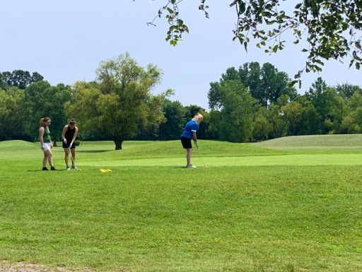 Golf Course «Indian Mounds Golf Course», reviews and photos, 3500 Kingshighway, East St Louis, IL 62201, USA