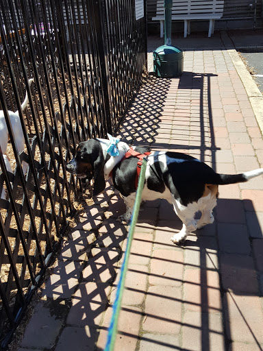 Pet Supply Store «The Hungry Puppy», reviews and photos, 1288 NJ-33, Farmingdale, NJ 07727, USA