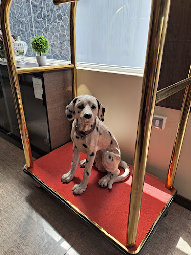 Comentarii opinii despre Hotel Coronado - Tacna