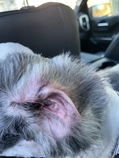 Pet Supply Store «PetSmart», reviews and photos, 2901 Texas Sage Trail, Fort Worth, TX 76177, USA