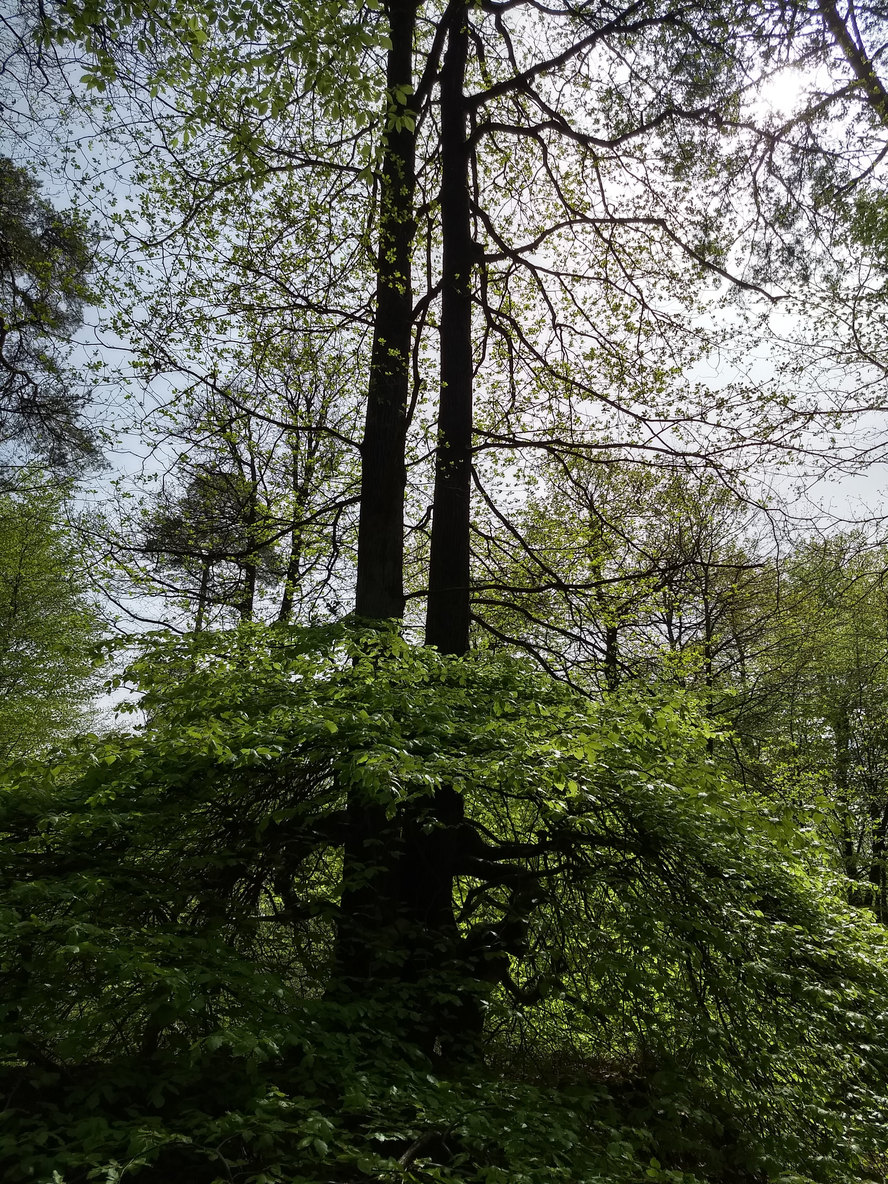 Photo n° 2 de l'avis de yannick.e fait le 23/04/2019 à 09:12