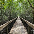 Toni Robinson Waterfront Trail