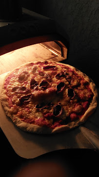 Plats et boissons du Pizzas à emporter Pizza Vaness à Vielmur-sur-Agout - n°3