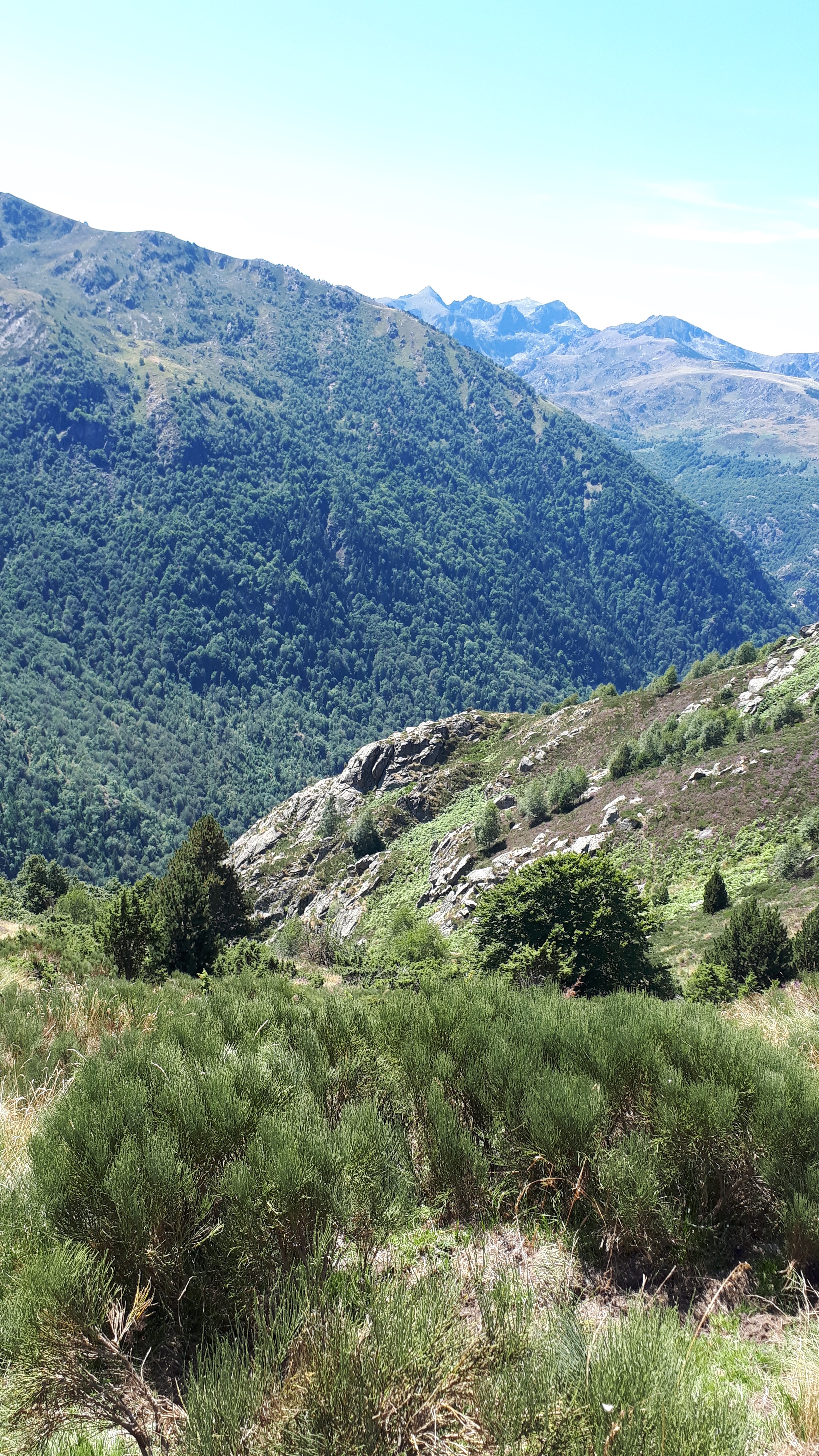 Photo n° 23 de l'avis de Christophe.e fait le 16/08/2019 à 17:19