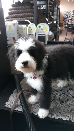 Pet Supply Store «Pet Valu», reviews and photos, 1525 Genntown Dr, Lebanon, OH 45036, USA