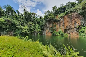 Bukit Batok Nature Park Lookout Point image