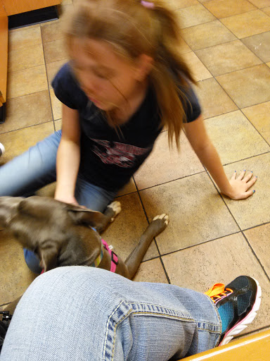 Pet Supply Store «PetSmart», reviews and photos, 4300 E Alameda Ave, Glendale, CO 80246, USA