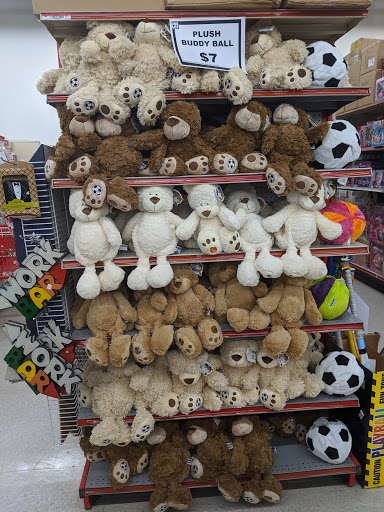 Discount Store «Ocean State Job Lot», reviews and photos, 180 N Main St, New City, NY 10956, USA