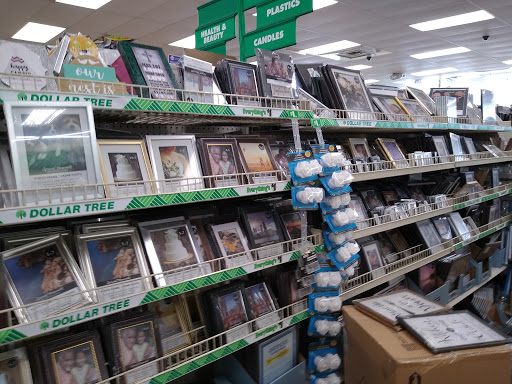 Dollar Store «Dollar Tree», reviews and photos, 9055 Biscayne Blvd, Miami Shores, FL 33138, USA