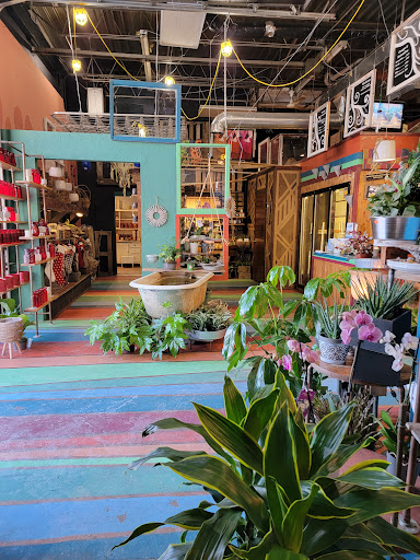 Florist «Brent Douglas - Flowers for everyday...», reviews and photos, 610 S Barstow St, Eau Claire, WI 54701, USA