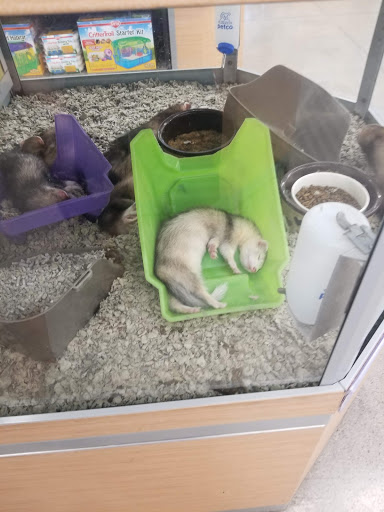 Pet Supply Store «Petco Animal Supplies», reviews and photos, 3452 W Chandler Blvd, Chandler, AZ 85226, USA